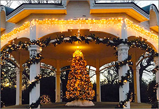 Christmas tree at Memorial Park